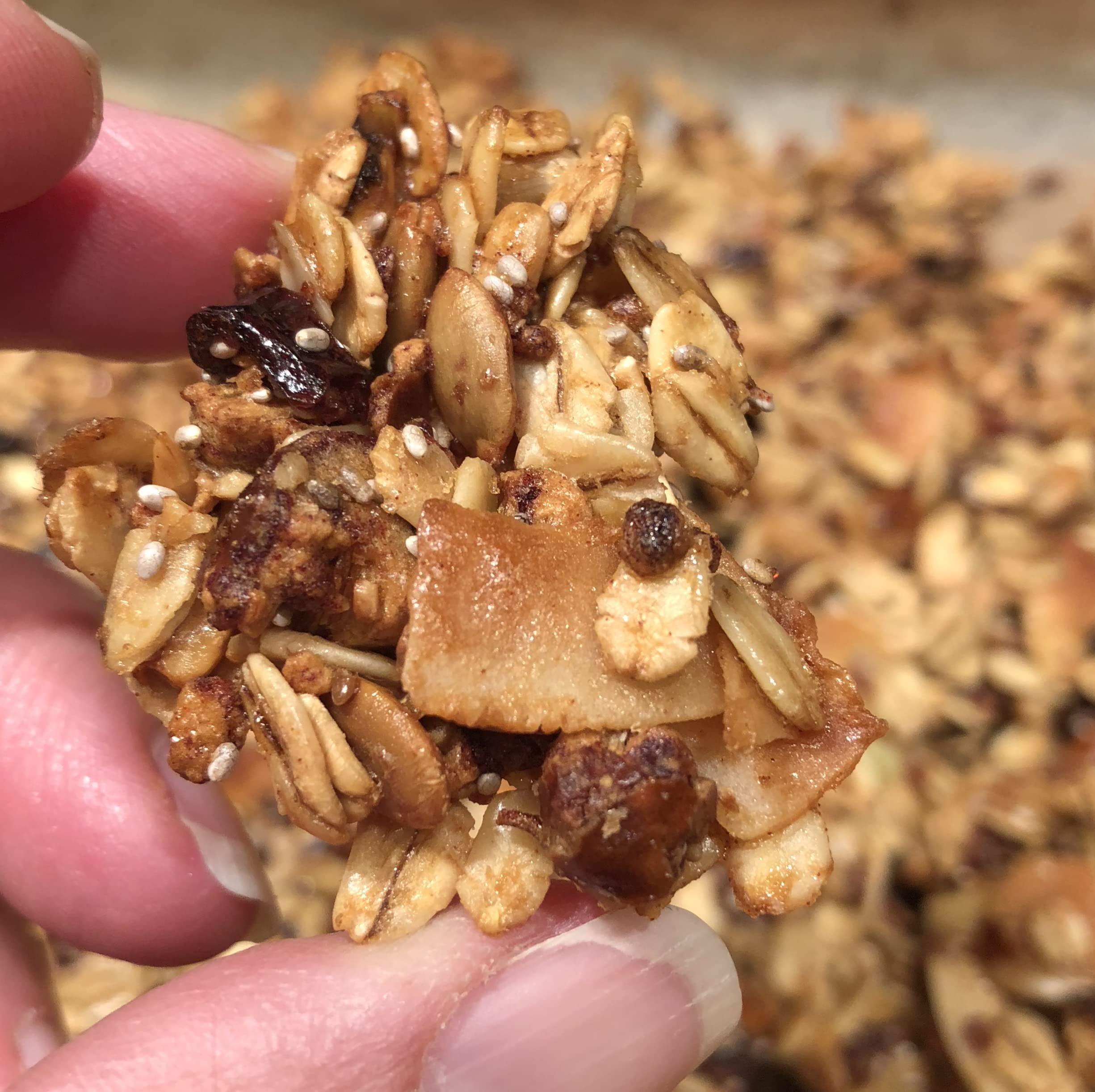 ZEGO Zego Foods Organic Superfood Oatmeal & Muesli, Certified Gluten Free (Apple Cranberry) Bundle of 5 Bags (65oz Total)