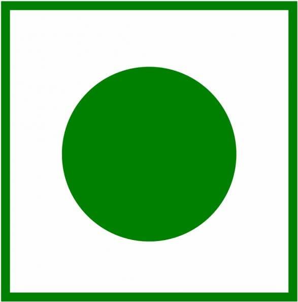 neotea Neotea Almond Gum Badam Pisin Badam Gum | Gond Katira (Ayurvedic Katira) Organic, Katira Gond Indian Gum, Gond Katira Pure Organic, Edible Gum, All Natural, Salt-Free | Vegan | No Colors | Gluten Friendly | NON-GMO-100% Natural 100 GM (3.52 OZ)