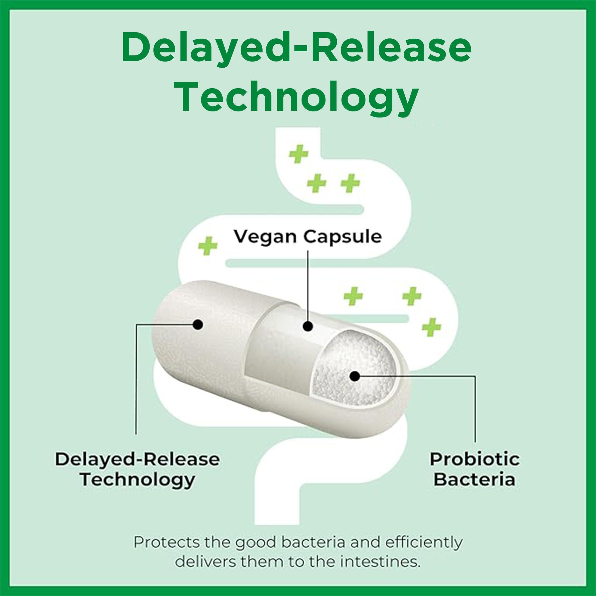 Bio-K Plus Bio K+ Extra Stress Support with Sensoril - Ashwagandha  Vegan Probiotics Supplement for Everyday Stress, Relieving Sleeplessness - 25 Billion CFU 3 Strains  60 Capsules