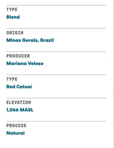 JOE COFFEE COMPANY Joe Coffee Company - Great Heights Whole Bean Specialty Coffee, 12 oz Bag | NYC Roaster, Rainforest Alliance Certified, Kosher, Climate-Friendly