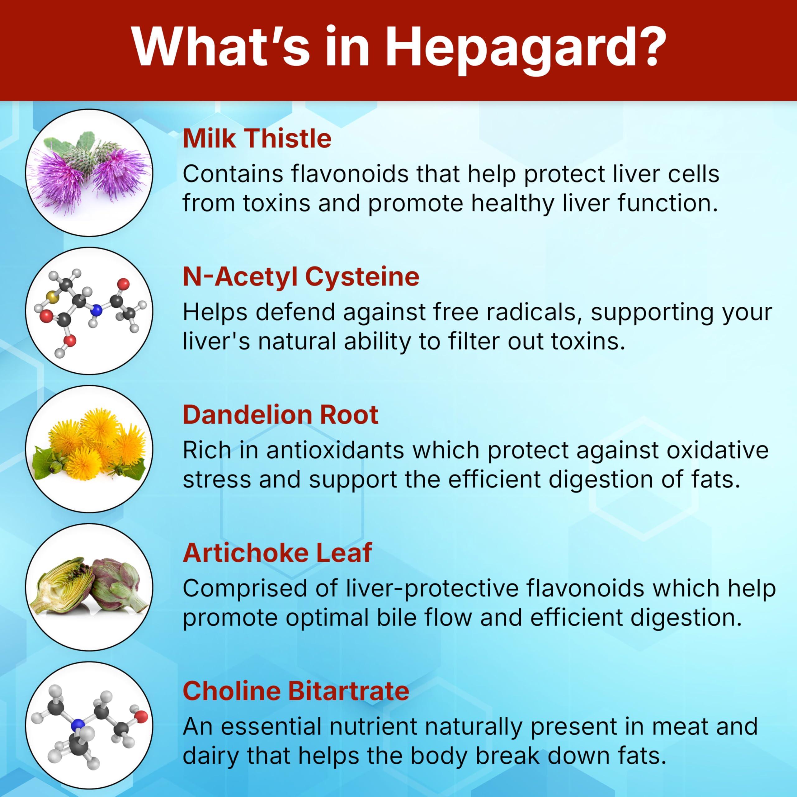 Hepagard Hepagard - Natural Liver Support Supplement Capsule with N-Acetyl Cysteine (NAC) - Non-GMO, Gluten-Free