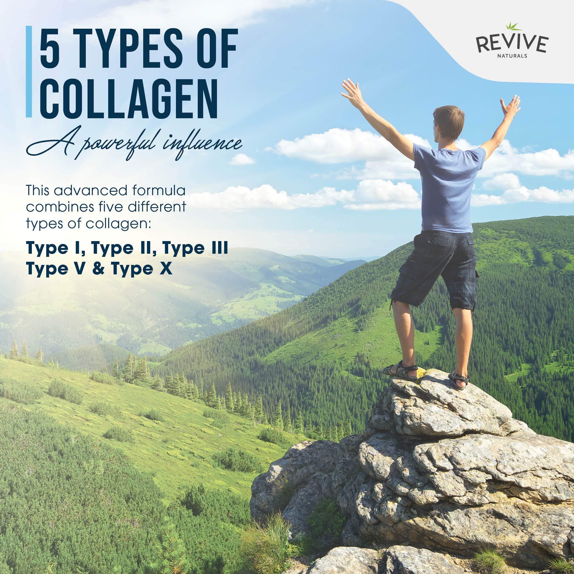 Revive Naturals Multi Collagen Protein Powder Packets - Types I, II, III, V & X - Hydrolyzed Grass Fed Bovine, Wild Caught Fish, & Free-Range Chicken & Eggshell Collagen. Non-GMO, Halal, (10g Each, 20 Packets)