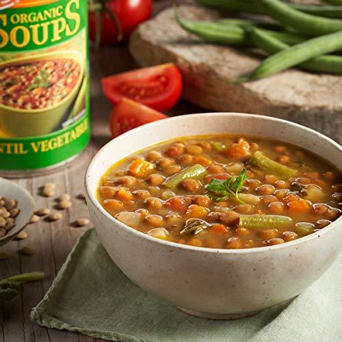 Amy's Amy’s Soup, Vegan Light in Sodium Lentil Vegetable Soup, Gluten Free, Made With Organic Vegetables, Canned Soup, 14.5 Oz (12 Pack)