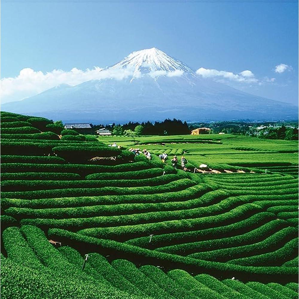 Palais des Thés Palais des Ths - Long Jing - Premium Chinese Green Tea - 20 Count Biodegradable Gourmet Tea Bags Box