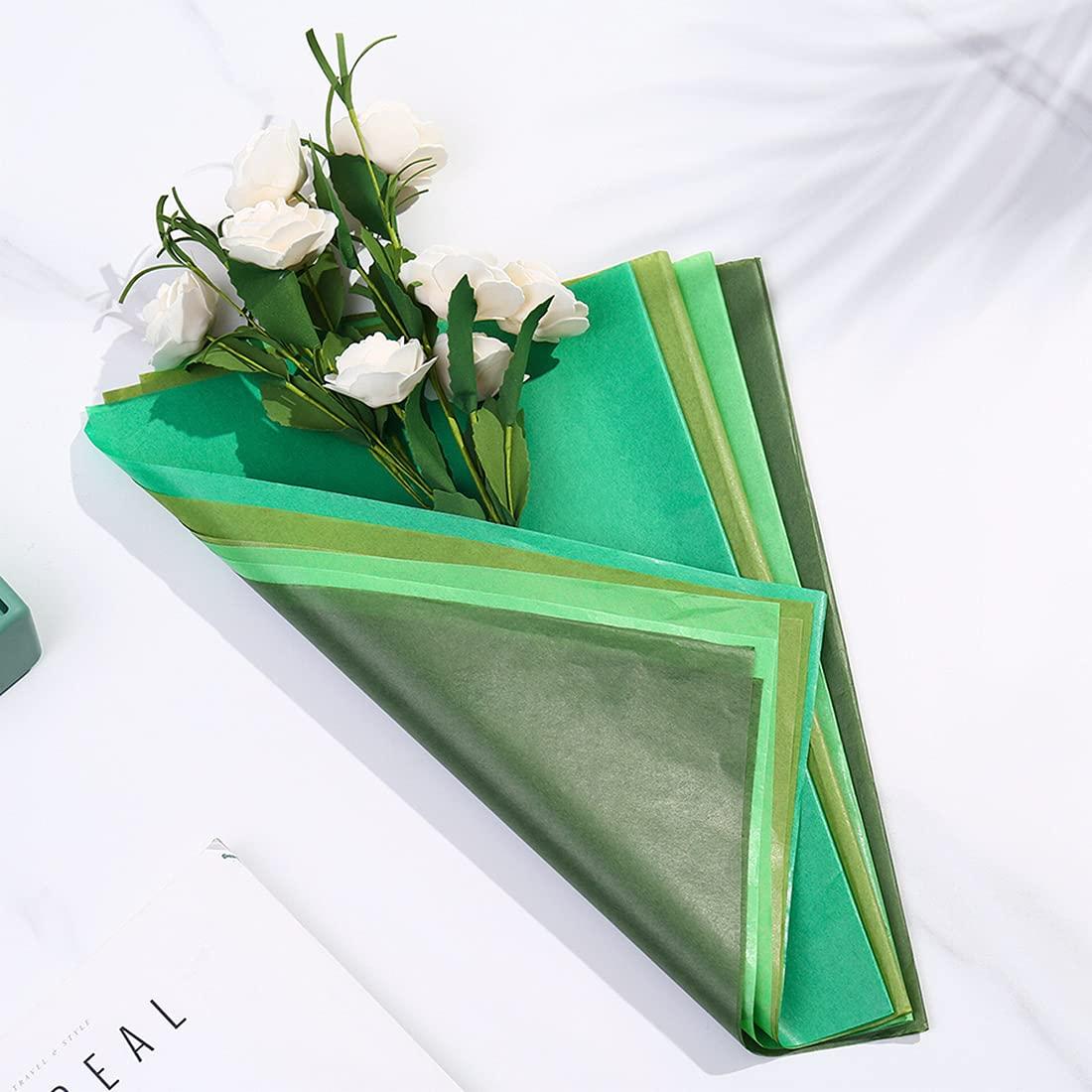 Gemaxvoled Gemaxvoled 2 Pack Medicine Lock Box, Large Capacity Premium Material Lockable Storage Bin Organizer Box with Combination Code for Safe Medication/Fridge Food/Snacks/Phone/Tablet Jail(Black)