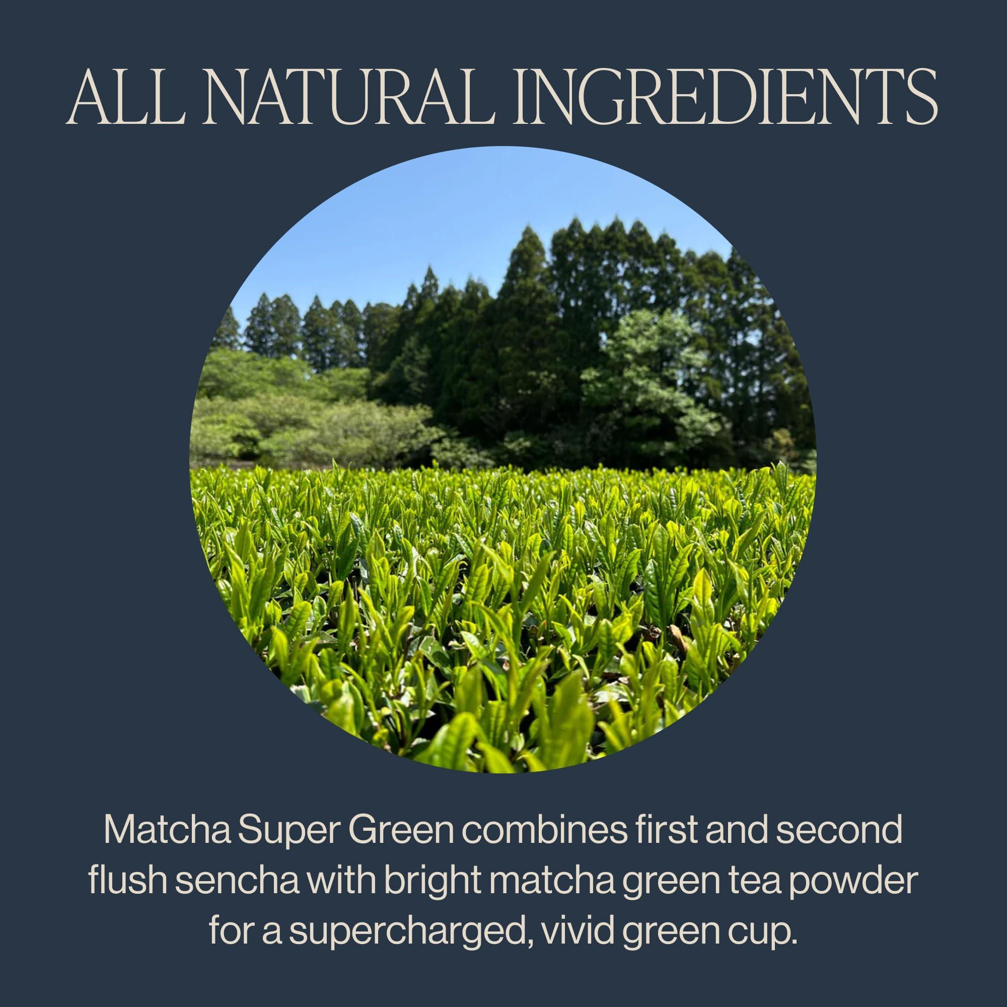 Rishi Tea Rishi Tea Matcha Super Green Japanese Tea - Organic, Caffeinated Sachet Bags, Umami, Antioxidant Rich Sencha & Matcha Blend - 15 Count (Pack of 6)