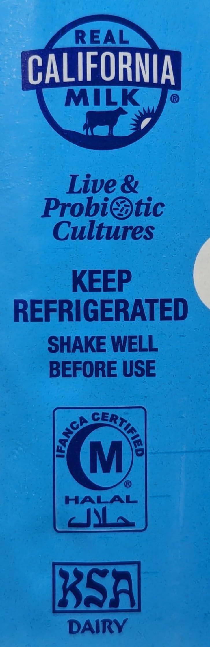 Raykush Art YORSAN Ayran Turkish Style Yogurt Drink, 16oz, Pack of 6