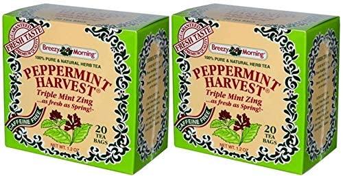 BREEZY MORNING BREEZY MORNING PEPPERMINT TEA 2PK (40 BAGS)