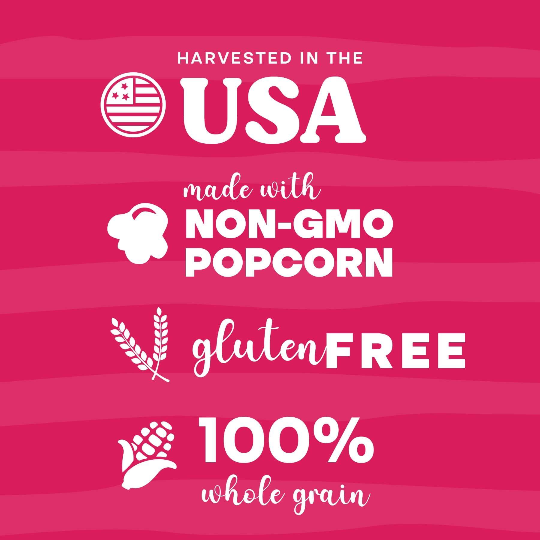 Pop n' Dulge Valentines Day Gifts Movie Night Popcorn Gift Set, Valentines Day Gifts For Her Him, 10 Piece Set, 5 Gourmet Popcorn Kernels and 5 Popcorn Seasoning Flavoring, Kosher, Non-GMO Romantic Movie Night Gift Baskets Gift Idea