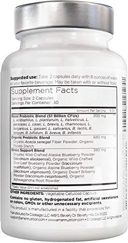 Amen Amen Mood Probiotic Supplement 51 Billion CFU - Organic Prebiotics and Probiotics - Acidophilus Probiotic Pills, Fibers - Mood Organic Ashwagandha, Blueberries - Vegan & Non-GMO - 60 Capsules
