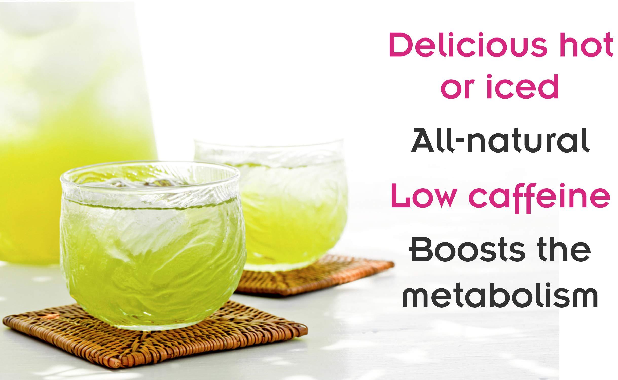 Fusion Teas Sencha (Steamed) Green Tea - Pure Loose Leaf Tea - Directly From The Kagoshima Prefecture In Japan - 1 Pound (16 Oz.) Pouch