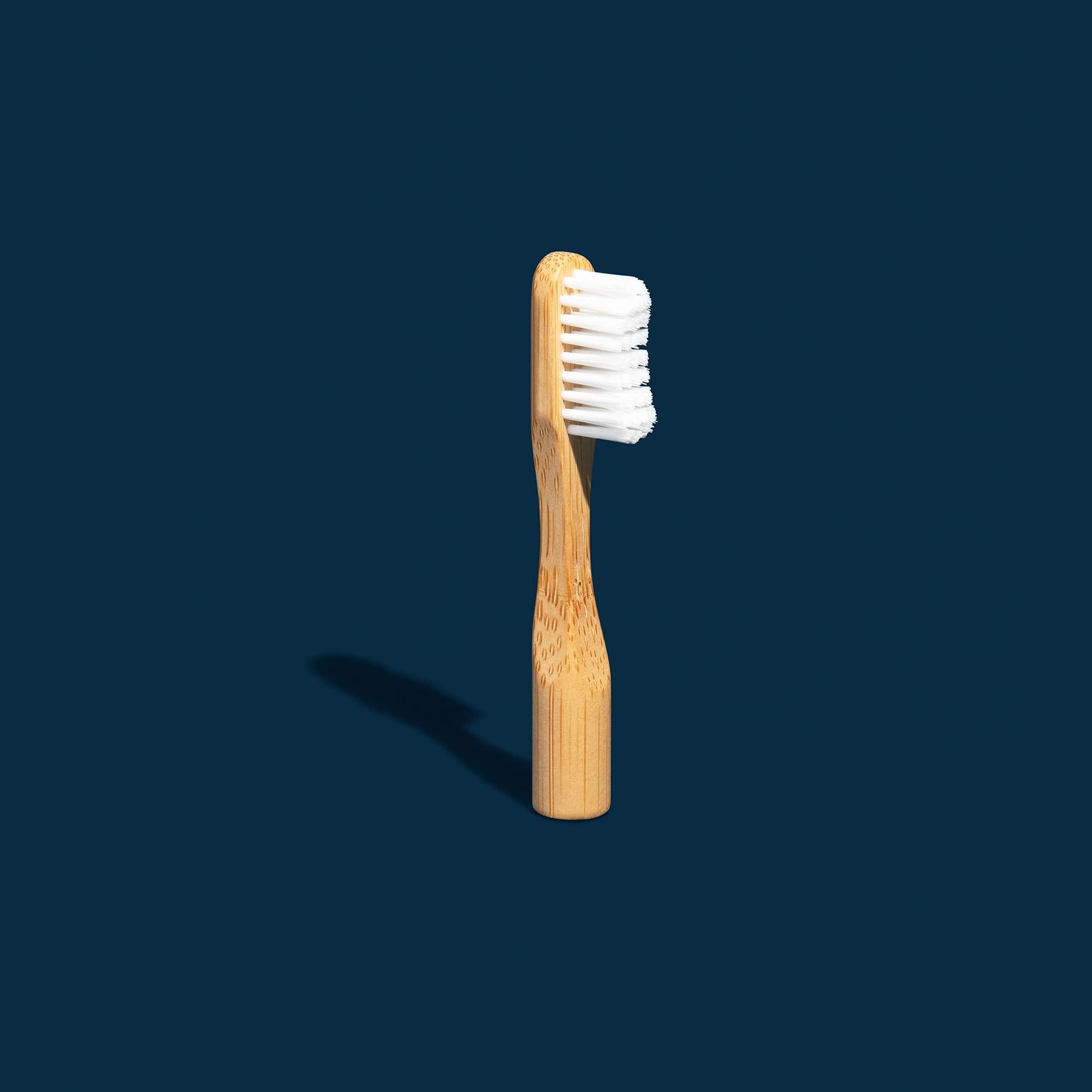 Better & Better Better & Better Natural Bamboo Toothbrush and Extra Replaceable Brush Head | Soft Bristles | 100% Plant-Based | Eco-Friendly, Zero Plastic | Adult Size, Blue Toothbrush