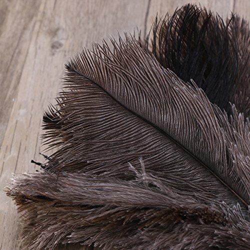 Baluue Ostrich Duster Feather Dusters with Wooden Handle Cleaning Tool Useful Tool