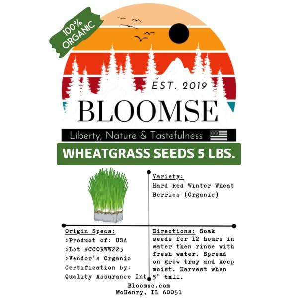 Bloomse Bulk Organic Wheatgrass Seeds Hard Red Winter Wheat Berries 5 Pound Pouch, Premium Sprouting Quality