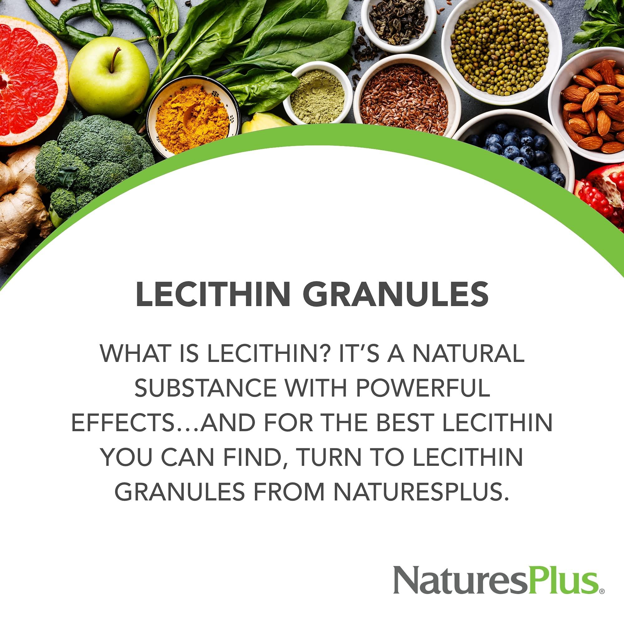 Nature's Plus NaturesPlus Lecithin Granules - 95% Soy Phosphatides, 12 oz - Lecithin Powder Supplement, Pleasant-Tasting, Oil-Free - Vegetarian, Gluten-Free - 45 Servings