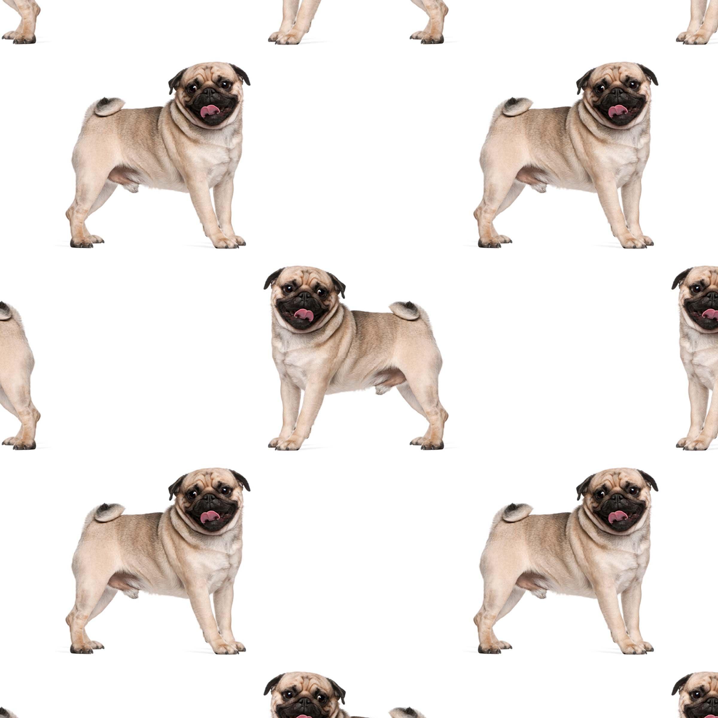 Foot Defender Foot Defender Protective Boot for Foot Wounds Designed to Offload Pressure and Help Diabetic Foot Ulcers Heal Faster (Medium)