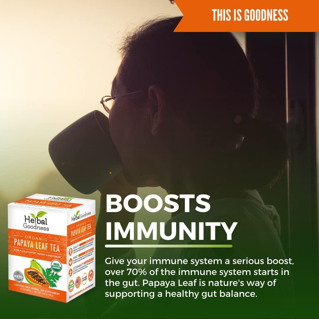 Herbal Papaya Organic Papaya Leaf Extract Tea For Platelets 24bags - Papaya Enzymes Natural Blood Platelet Tea - For Immune Gut & Digestive Health - Made in the USA