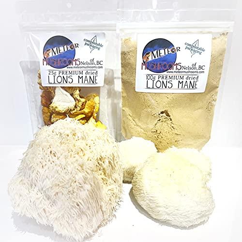 Meteor Mushrooms Lions Mane Mushrooms ~ dried pieces