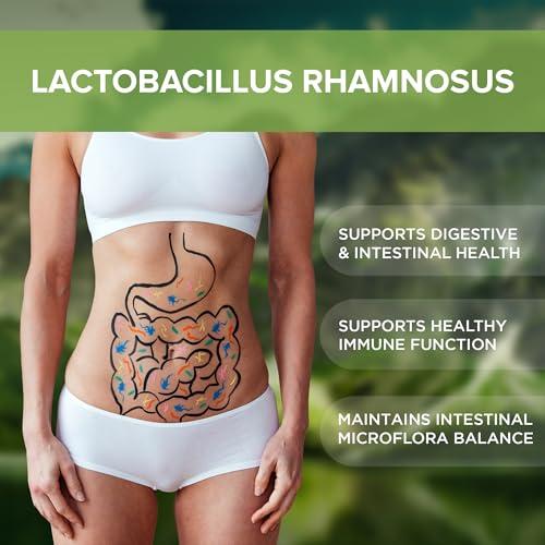 Natural Foundation Supplements Lactobacillus Rhamnosus Probiotic Supplement 240 Tablets 3 Billion CFU Probiotics for Men & Women Supports Intestinal Digestive & Gut Health Made in The USA (240, Lactobacillus Rhamnosus)
