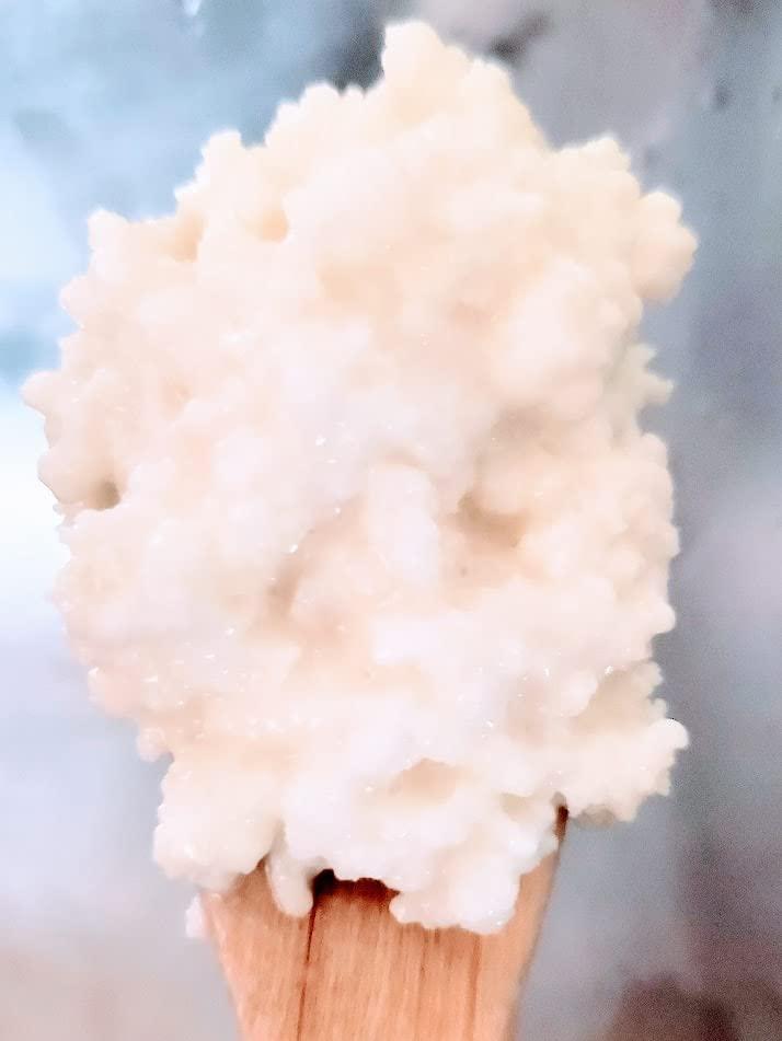 Xapienx LLC Búlgaros de Leche, 30 gramos, (MX)