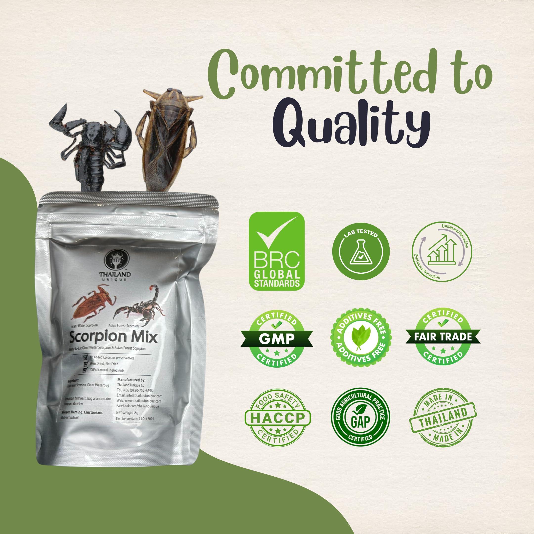 Thailand Unique Thailand Unique Scorpion Mix - 2 Pieces with Asian Forest and Giant Water Scorpion, Dehydrated Edible Insects for Humans, Nutritious Bugs Superfood Weird Unusual Snack Gift