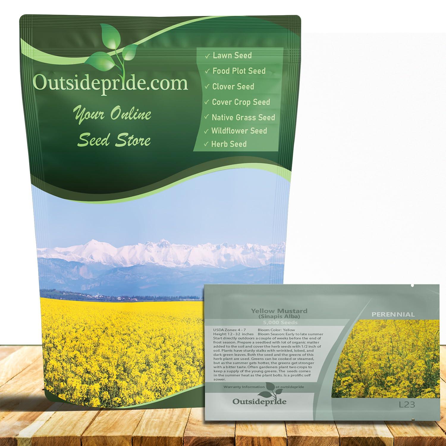 Outsidepride Outsidepride 10000 Seeds Annual Yellow Mustard Herb Garden Seed for Microgreens, Sprouts, & Cooking