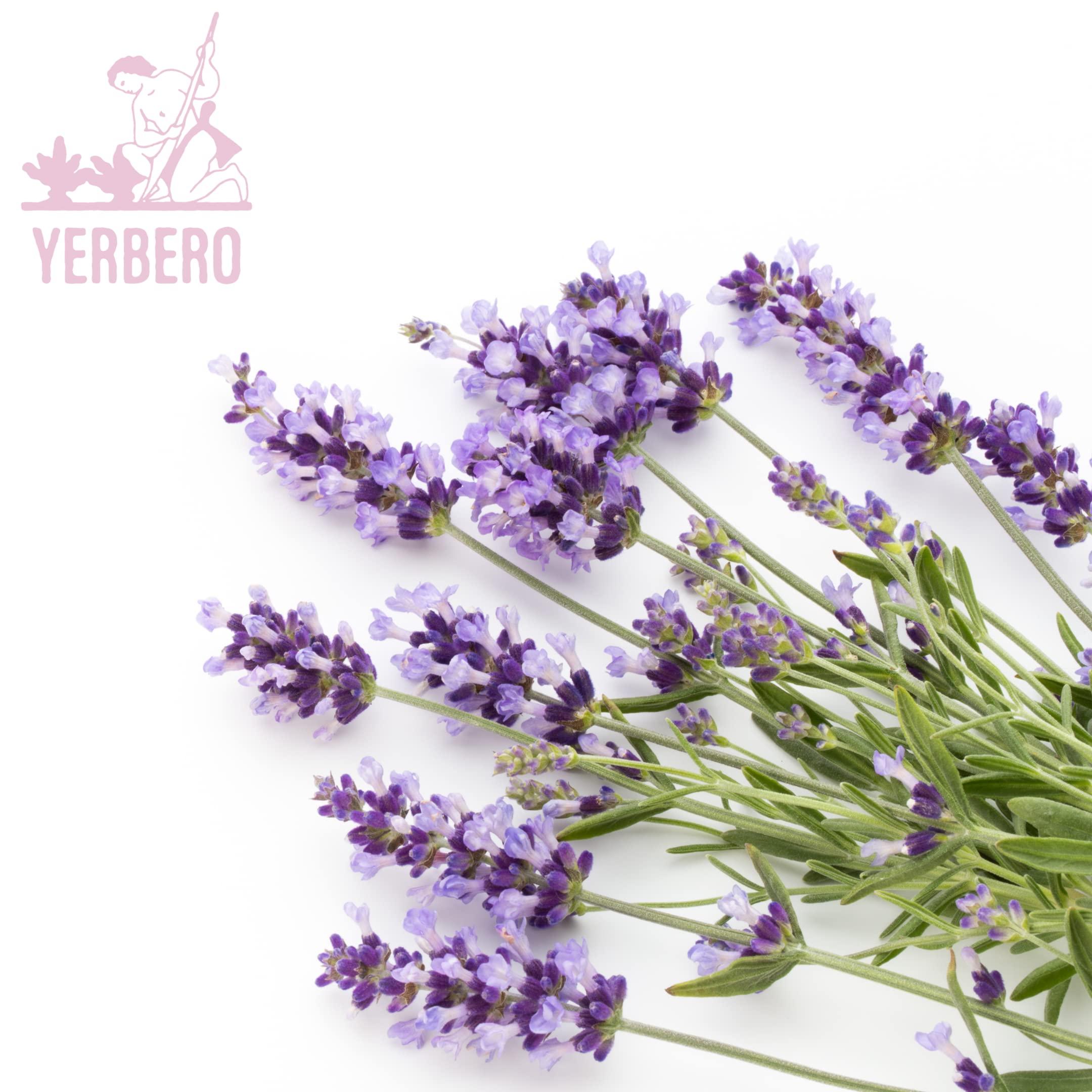 YERBERO Yerbero - Alucema Herbal Tea 6 Oz (170 g) | Flor De Lavanda (Lavander Flower) | Premium Blend Stand Up Resealable Bag Crafted By Nature100% All Natural Wildcrafted.
