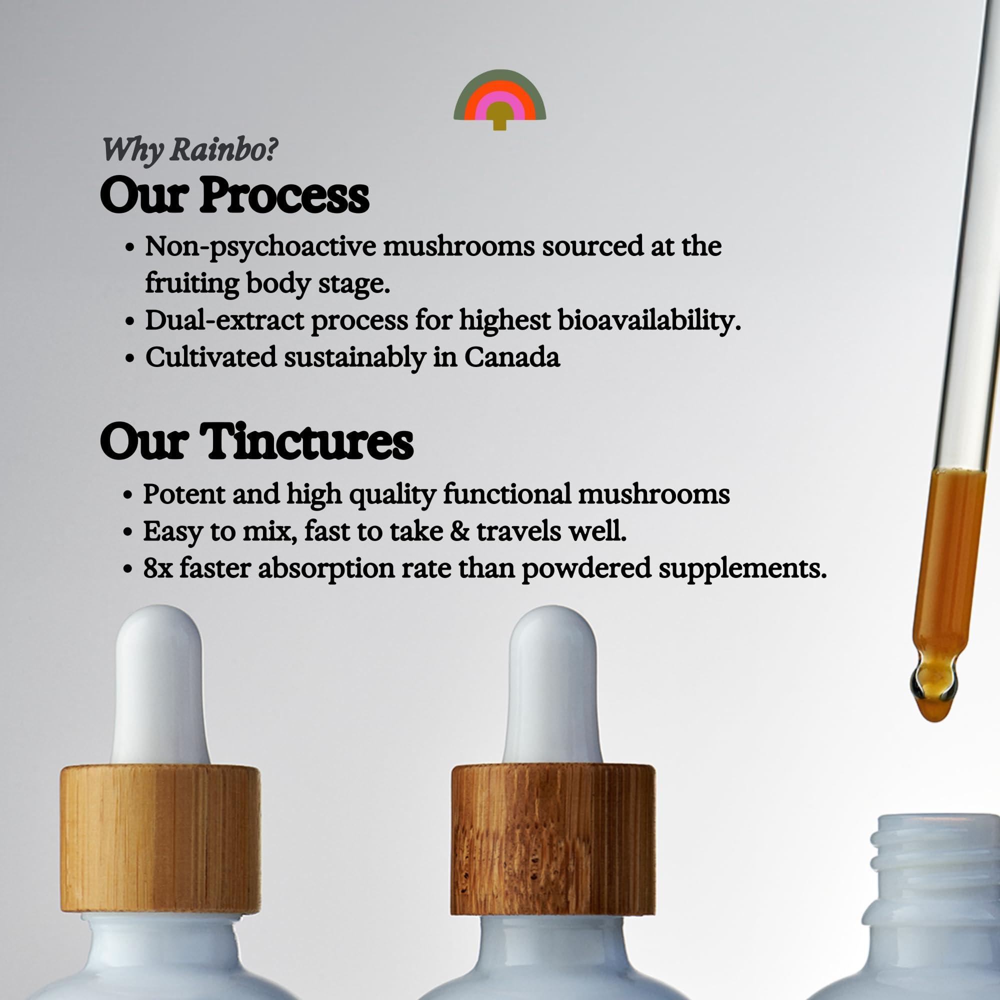 Rainbo Rainbo Mushroom Bundle, 11:11 Multi Mushroom Extract + Reishi Mushroom Tincture, Dual Extract Daily Mushroom Tinctures for Comprehensive Immune Support, Vegan Liquid Mushroom Supplements