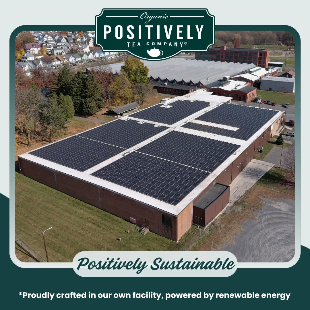 Organic Positively Tea Company Organic Positively Tea Company, Spearmint Leaf Herbal Tea, Loose Leaf, 4 Ounce