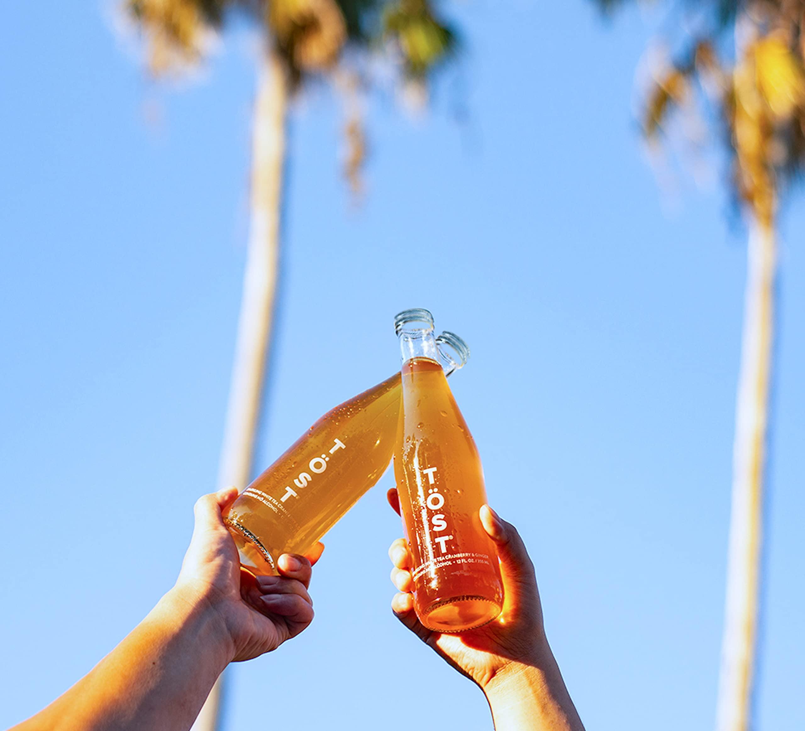 TÖST TOST White Cranberry, Ginger and Spice Sparkling White Tea, 750 ML