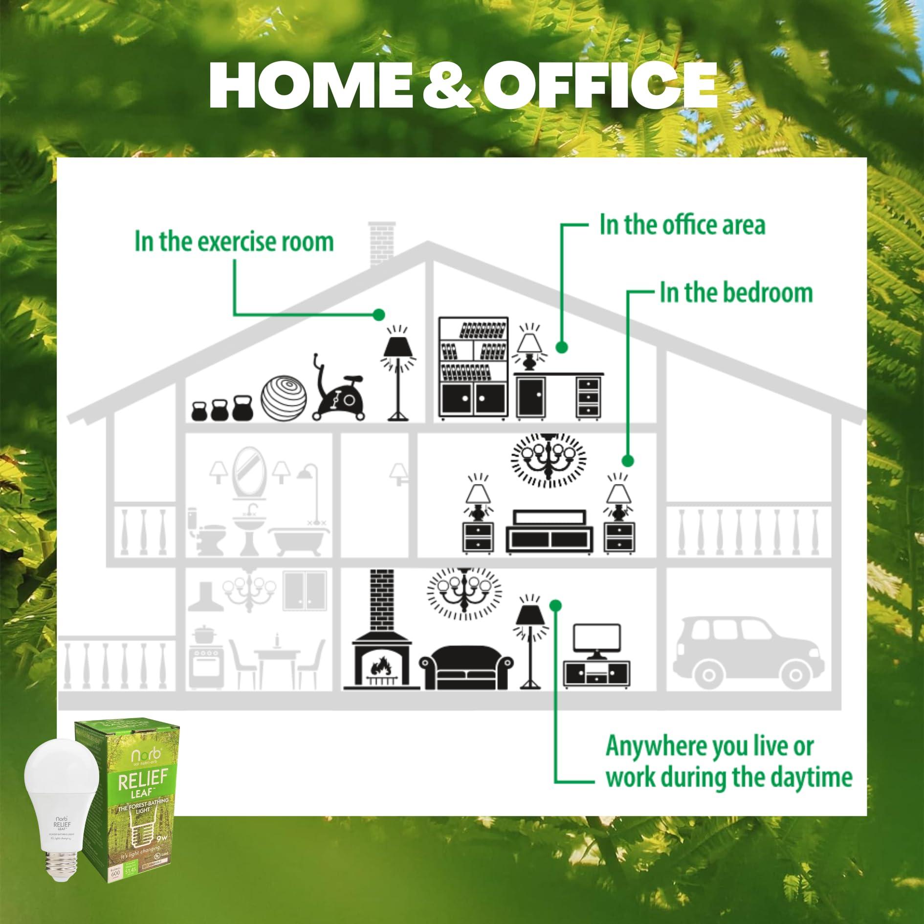 Norb NorbRELIEF Leaf - Soft Green Forest Bathing LED Light Bulb for Meditation, Relaxation, Migraine, Pain Relief and Calm - A19 Standard Base - Patent Pending Non-Drug Pain Relief. Green Light Therapy.