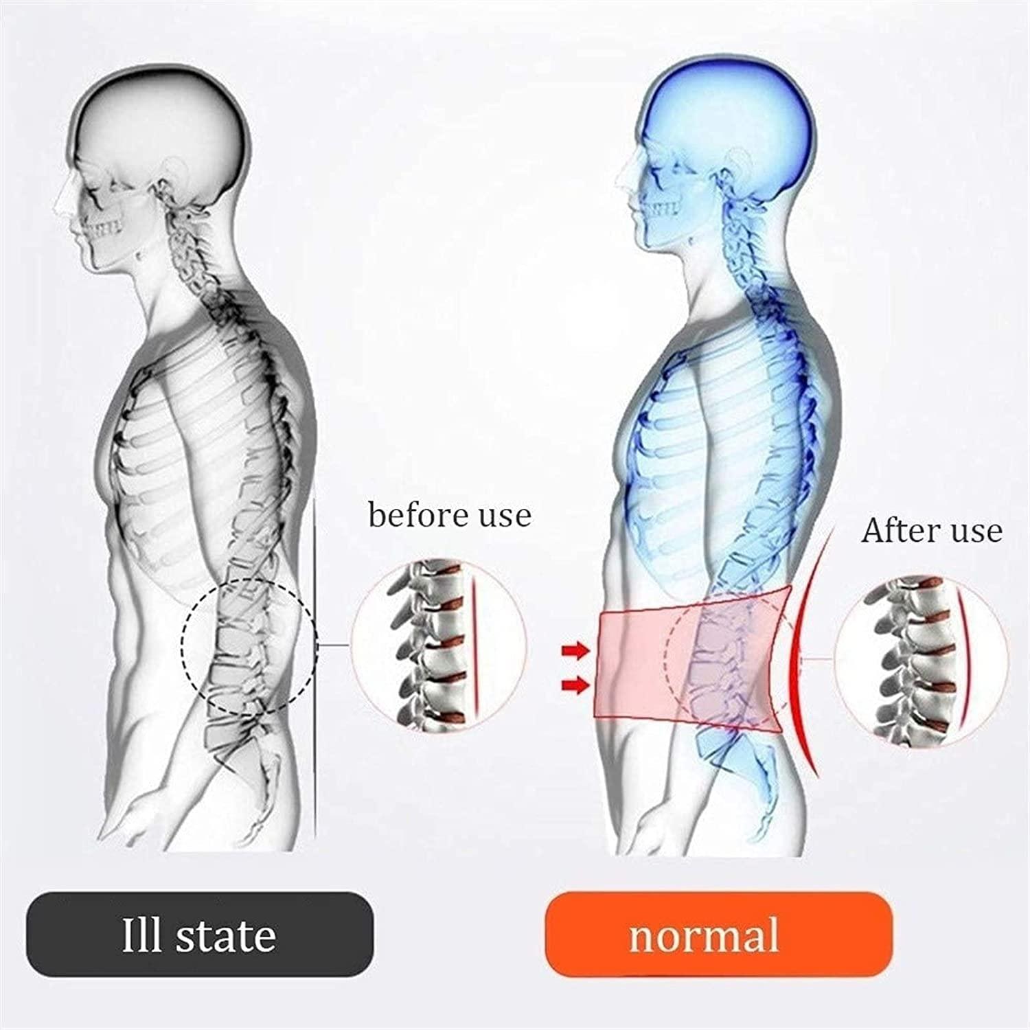 SJHY Lumbar Support Belt Back Brace Lumbar Support Belt,Physical Therapy Posture Corrector Arthritis Pain Relief Sciatica Scoliosis for Women and Men Back Braces (Color : Silver, Size : Large)