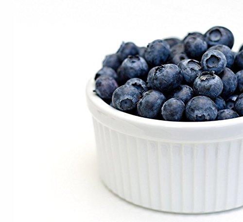 FruitCeuticals FruitCeuticals Organic Blueberry Powder Made with 100% Whole Fruit Wild Blueberries - 8oz Pouch (90 Day Supply)