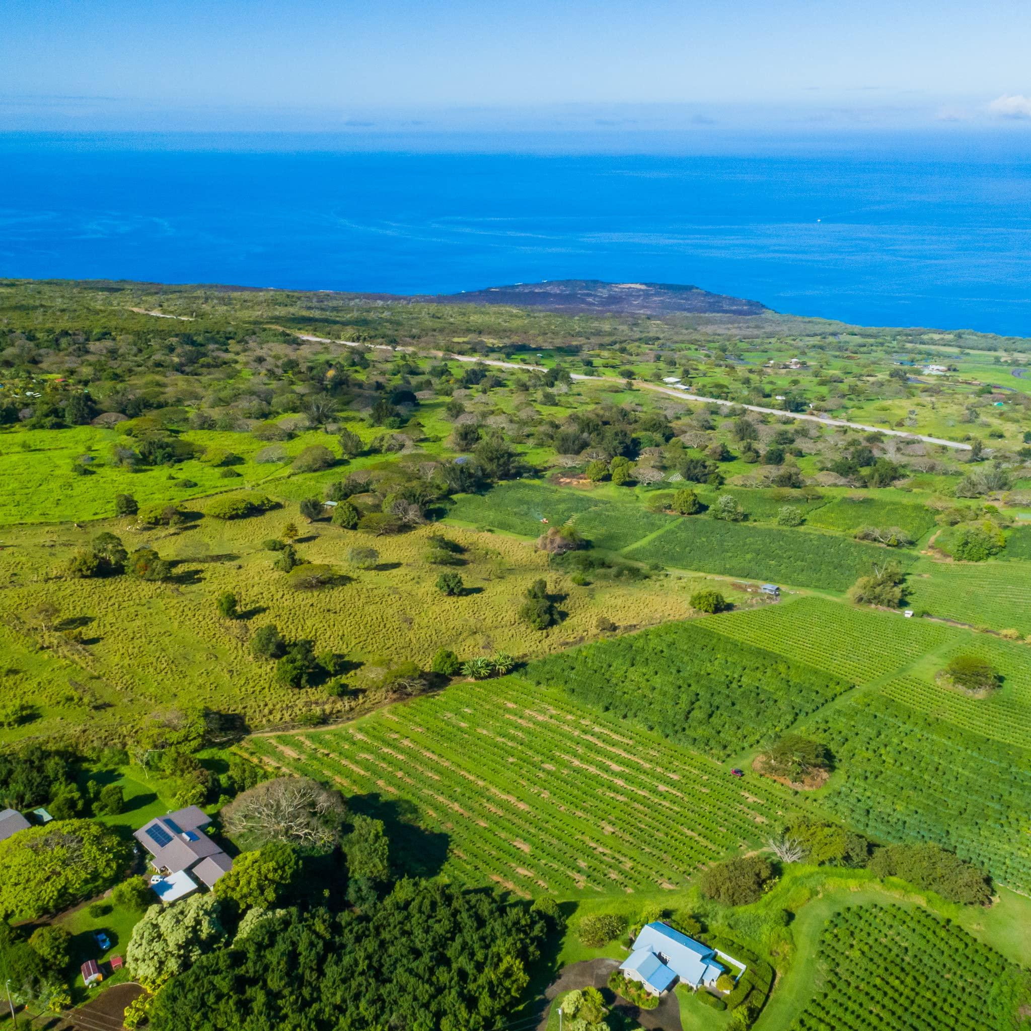 Greenwell Farms Greenwell Farms 100% Hawaiian Kona Coffee - French Roast, Whole Bean, 16oz