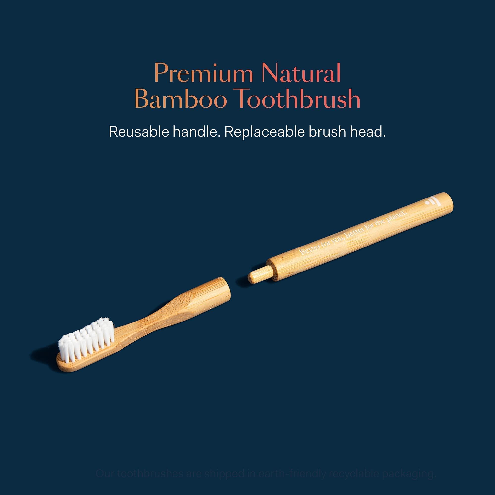 Better & Better Better & Better Natural Bamboo Toothbrush and Extra Replaceable Brush Head | Soft Bristles | 100% Plant-Based | Eco-Friendly, Zero Plastic | Adult Size, Blue Toothbrush