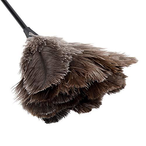 QiaNgshuAikj 34cm Premium Quality Genuine Ostrich Feather Duster – Attracts Dust Particles - Thick Soft Feathers - Durable Ergonomic Wooden Handle – Easy Efficient Dusting