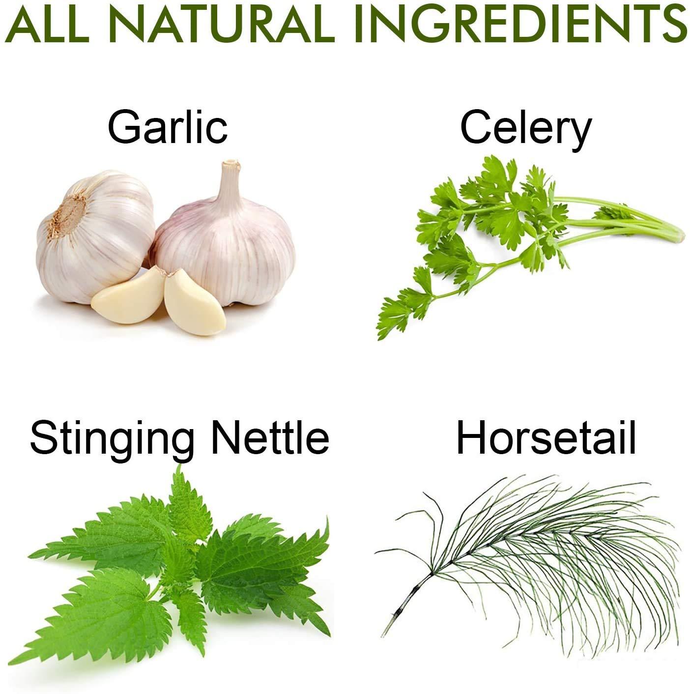 Full Life Full Life Reuma-Art X Strength  400 mg Herbal Supplements - Supports Joint Flexibility  180 Veggie Capsules