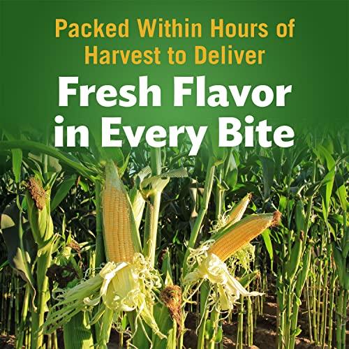 Del Monte Del Monte Canned Golden Sweet Whole Kernel Corn No Salt Added, 15.25 Ounce (Pack of 24) Canned Corn