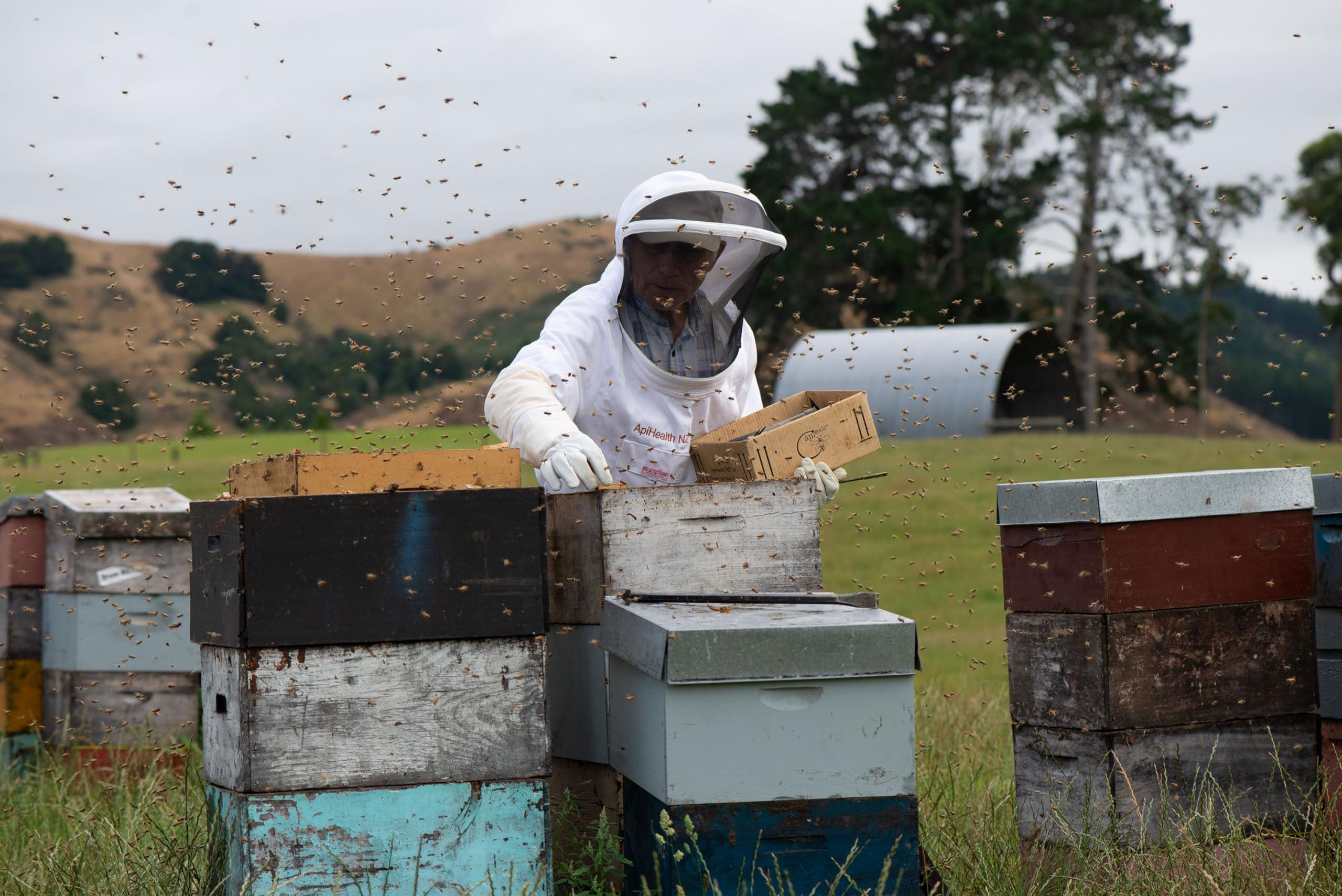 API Health Manuka Honey UMF 10+ (MGO 261+) Pure New Zealand Honey, 1.1 lb (500g)