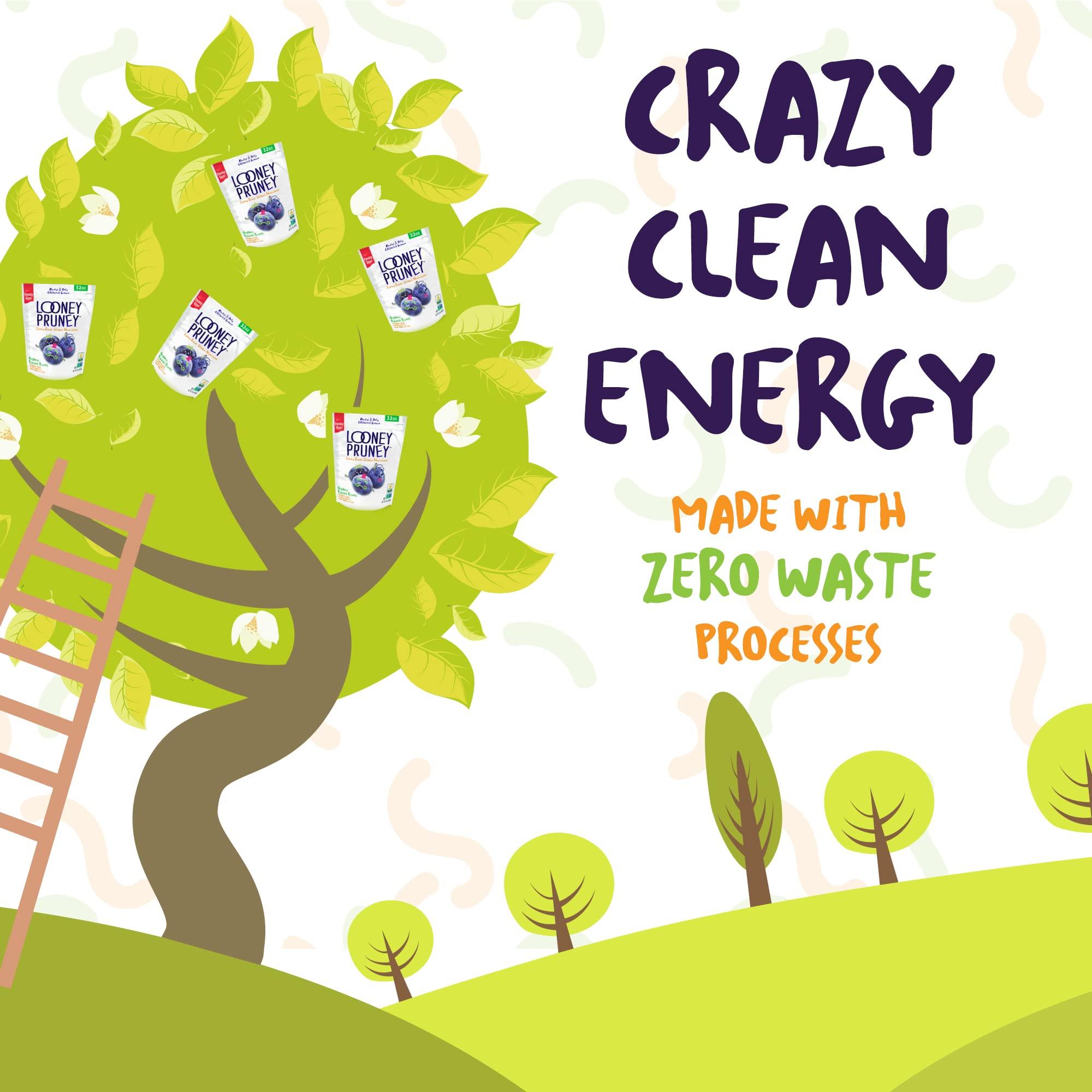 Looney Pruney Looney Pruney Smalls Fruit Snacks | Naturally Sweet Bite-Sized Prunes | Organic Fruit Snack Packs For Kids & Adults | Vegan Food With No Added Sugar & Preservatives | Kosher | 9 oz. (Pack of 6)