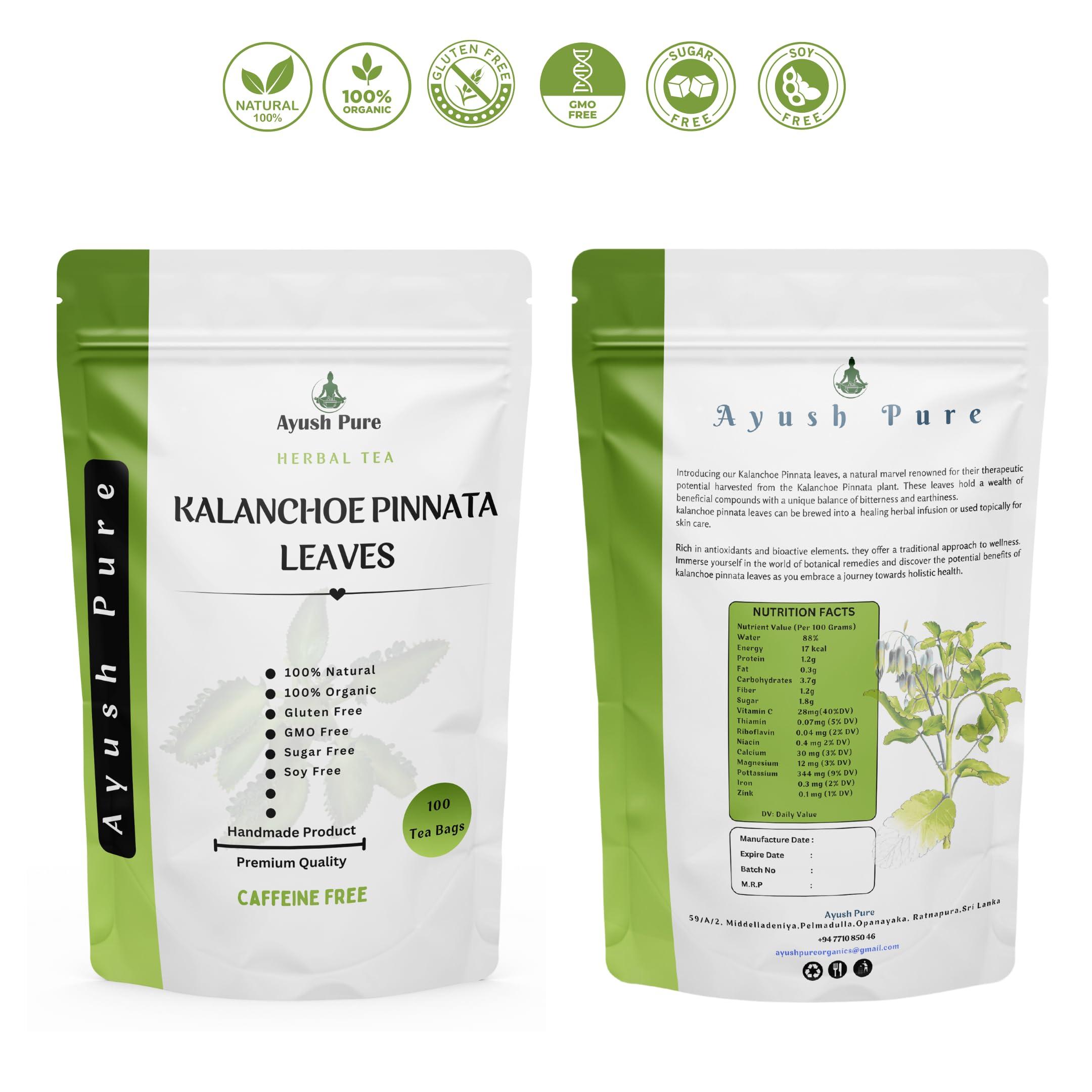 Generic Generic 100 Tea Bag Kalanchoe Pinnata Powder Healthy Pure Leaves Powder Tea Bag Grade A