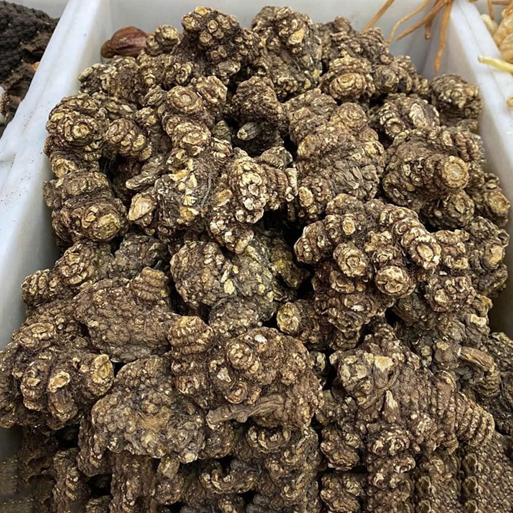 Generic Rhizoma CHUANXIONG Chuanxiong Ligusticum Chuanxiong Hort Traditional Chinese Medicine Chuanqiong Sichuan Dome,chuanxiong Rhizome; Rhizoma Ligustici Wallichi, (250 Grams /0.55 lbs)