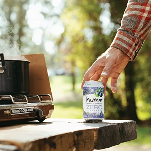 Humm Humm Probiotic Kombucha Zero Sugar Variety Pack - No Refrigeration Needed, Keto Friendly, Organic, Vegan, Gluten Free - 12oz Cans (16 Pack)