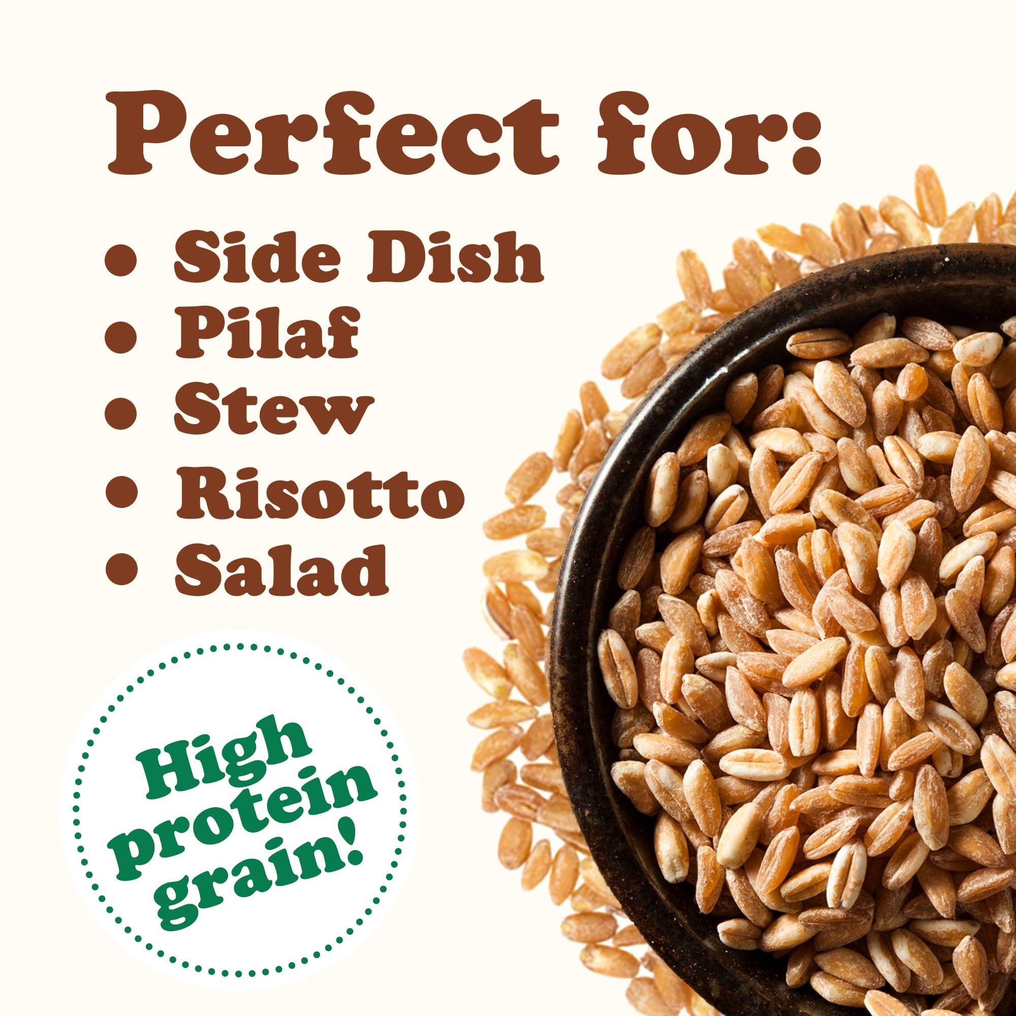 Food to Live Food to Live Organic Italian Pearled Farro, 8 Pounds Non-GMO, Kosher, Vegan, Whole Farro Grain in Bulk. Good Source of Fiber and Protein. Free of Sodium and Sugar