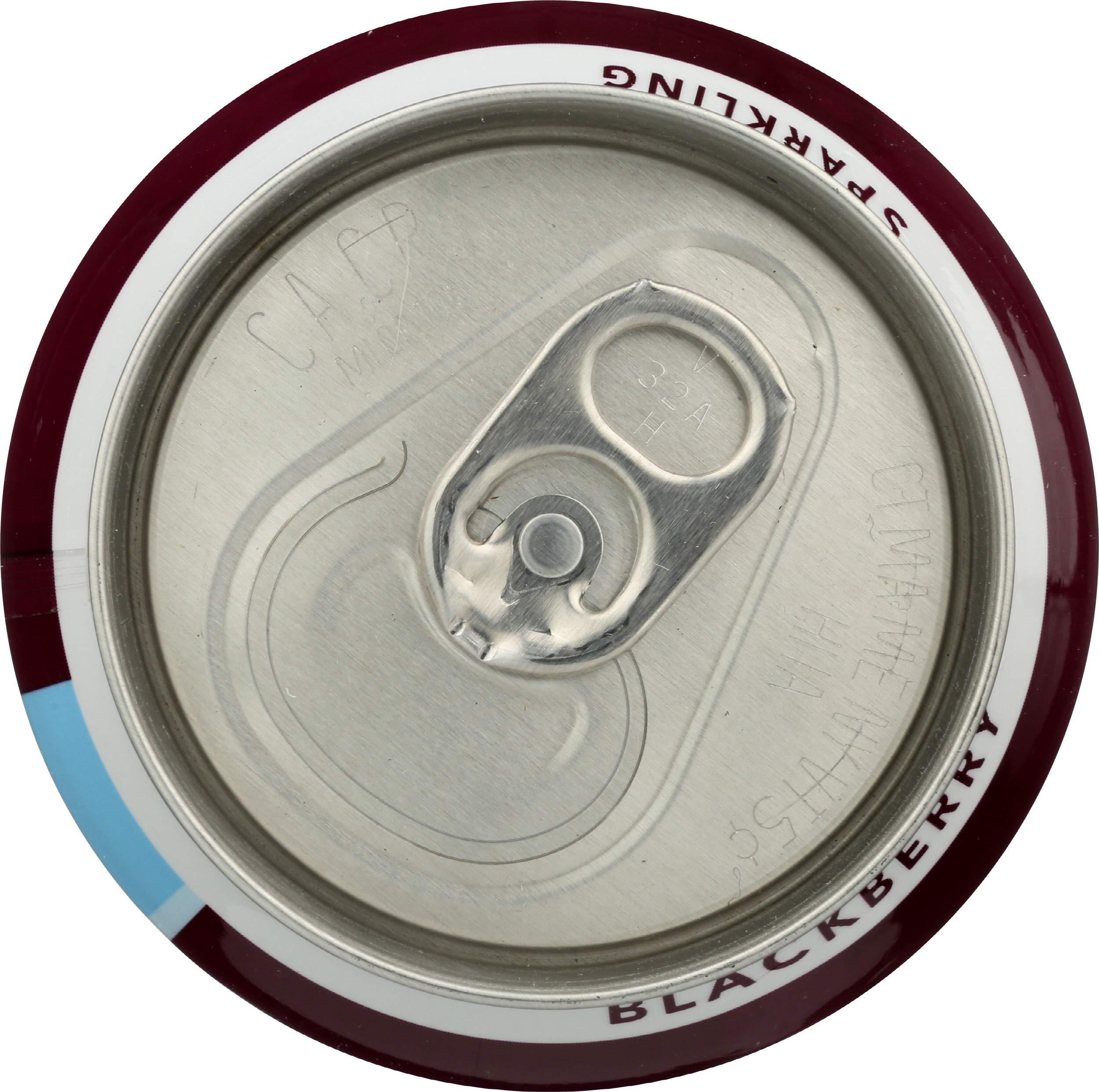 Clean Cause Clean Cause Sparkling Blackberry Yerba Mate - 16 Ounces (Case of 12)