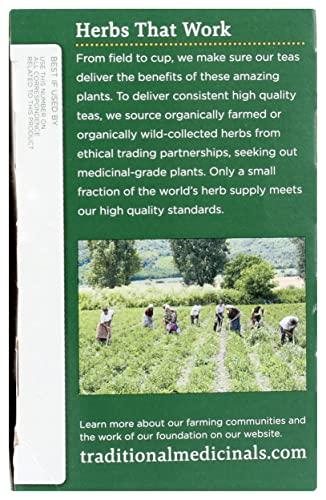 Traditional Medicinals Traditional Medicinals, Organic Reishi Mushroom Tea, 16 Count
