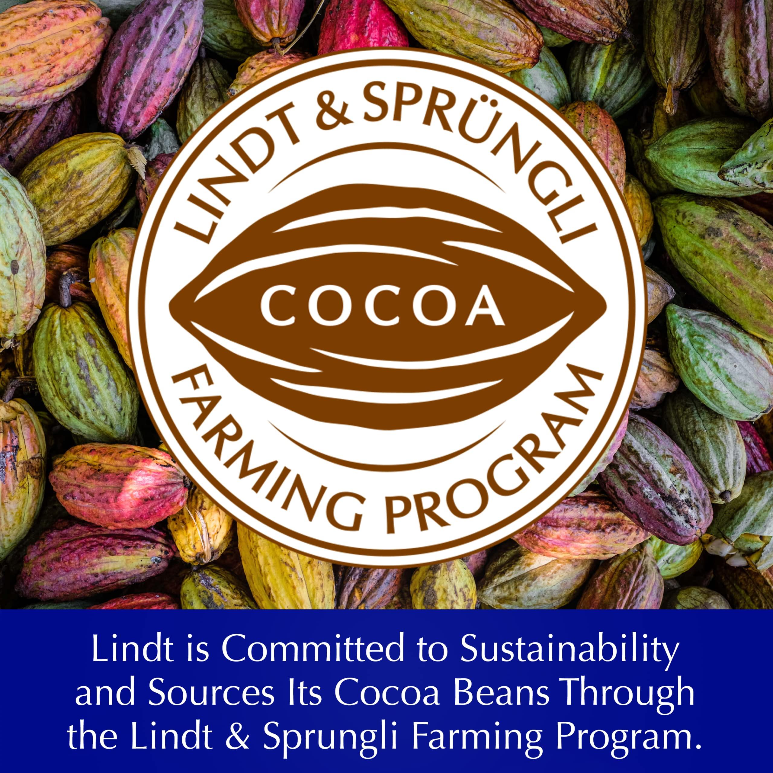 Lindt Dark Hazelnut Les Grandes Bar