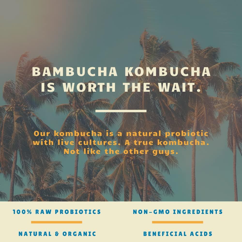 Bambucha Kombucha Bambucha Kombucha Variety 12 Pack Case | Chef Crafted Flavors, 100% Raw Kombucha Live Cultured Tea Drink | Organic, Vegan, Gluten Free, Non GMO, Probiotic (12 Fl Oz Cans)
