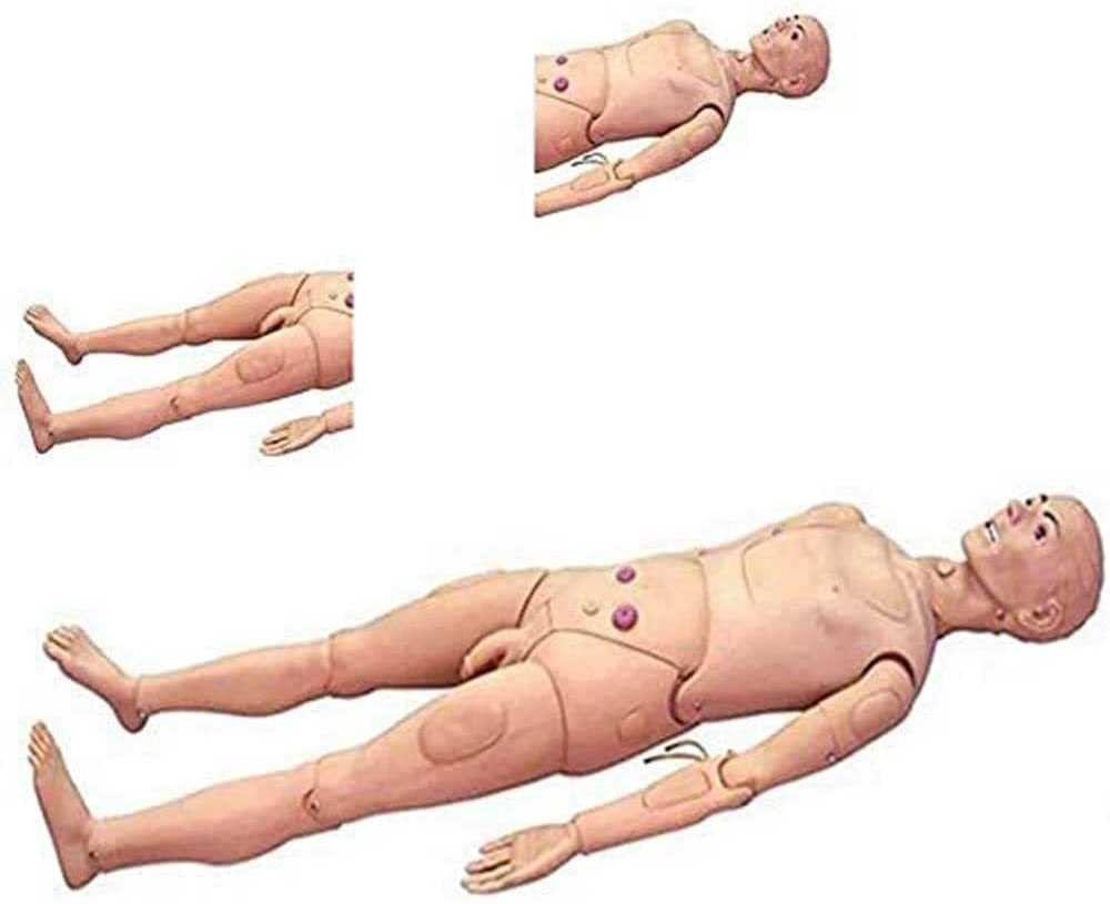 HIMFL HIMFL Multi-Functional Patient Care Simulator,170cm Life Size Nursing Training Manikin, for Training Teaching & Education Supplies