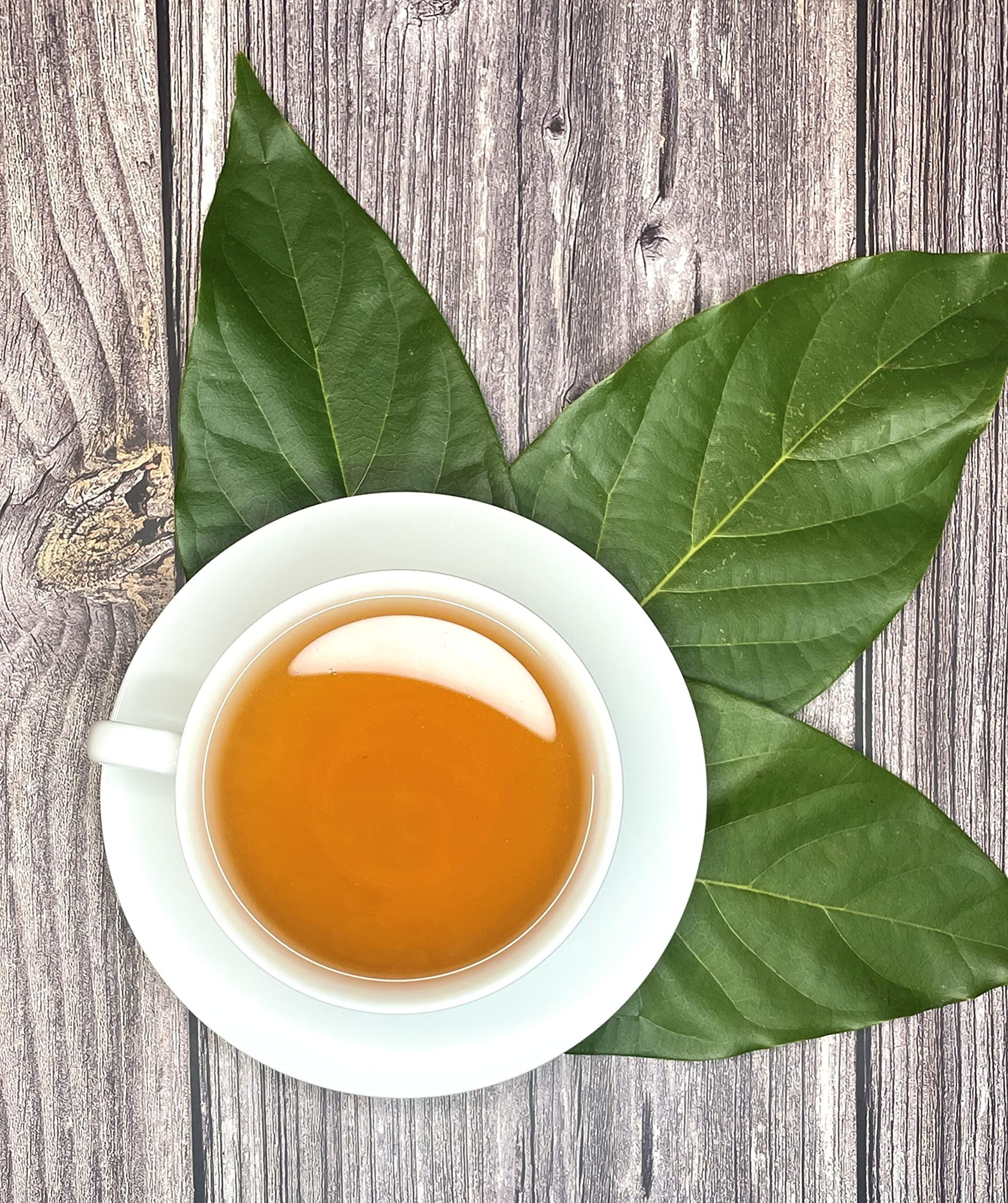 Palm Beach Medicinal herbs Avocado Leaf Tea by Palm Beach Herbals, 30 Count Tea Bags, Caffeine-Free | Pure Herbal Tea Series